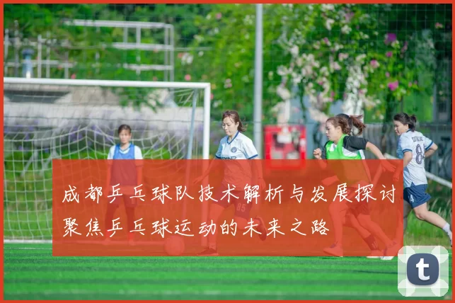 成都乒乓球队技术解析与发展探讨聚焦乒乓球运动的未来之路