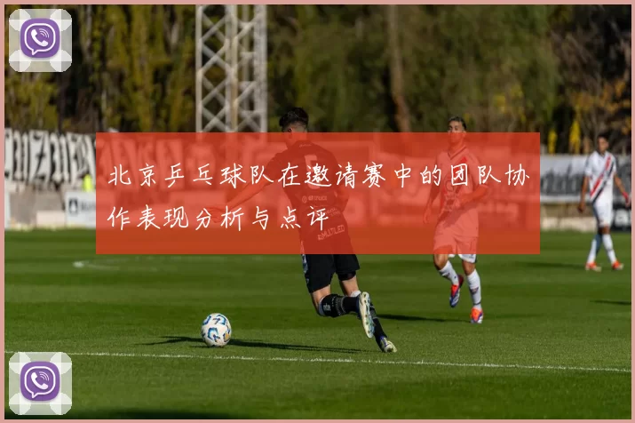 北京乒乓球队在邀请赛中的团队协作表现分析与点评