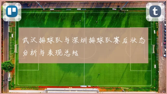 武汉排球队与深圳排球队赛后状态分析与表现总结