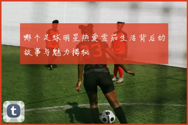 哪个足球明星热爱雪茄生活背后的故事与魅力揭秘
