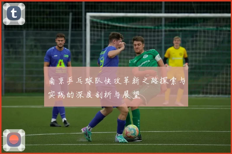南京乒乓球队快攻革新之路探索与实践的深度剖析与展望