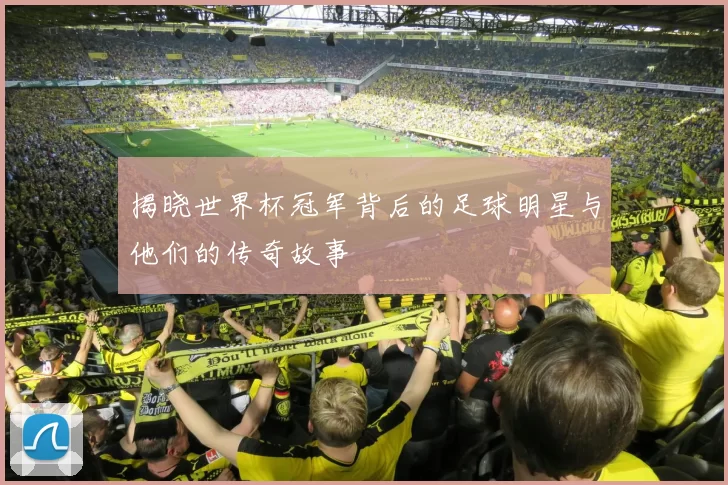 揭晓世界杯冠军背后的足球明星与他们的传奇故事
