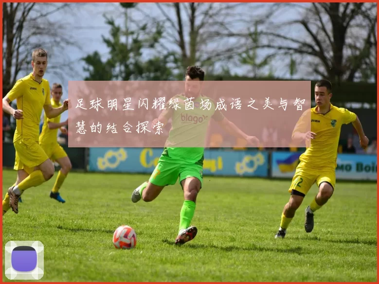 足球明星闪耀绿茵场成语之美与智慧的结合探索