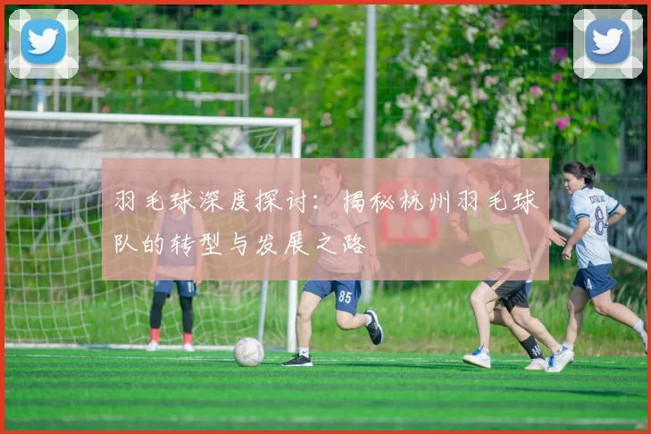 羽毛球深度探讨：揭秘杭州羽毛球队的转型与发展之路
