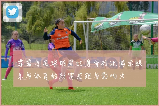 霉霉与足球明星的身价对比揭示娱乐与体育的财富差距与影响力