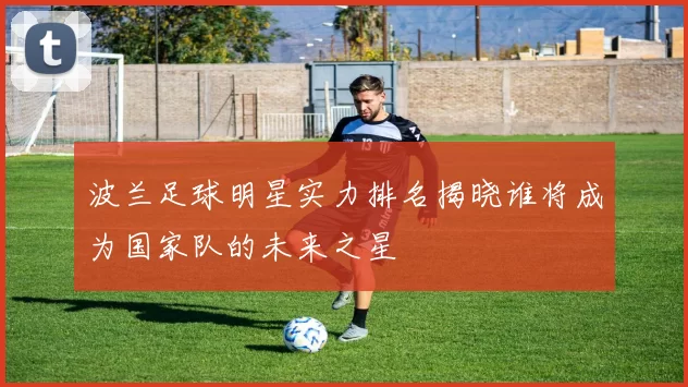 波兰足球明星实力排名揭晓谁将成为国家队的未来之星