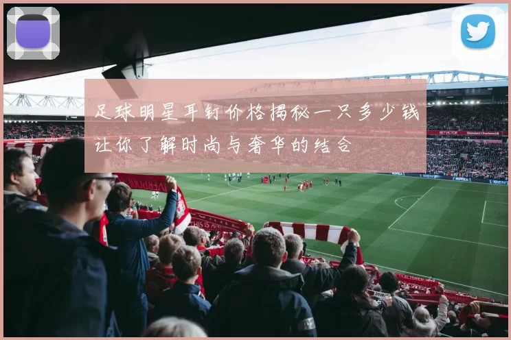 足球明星耳钉价格揭秘一只多少钱让你了解时尚与奢华的结合