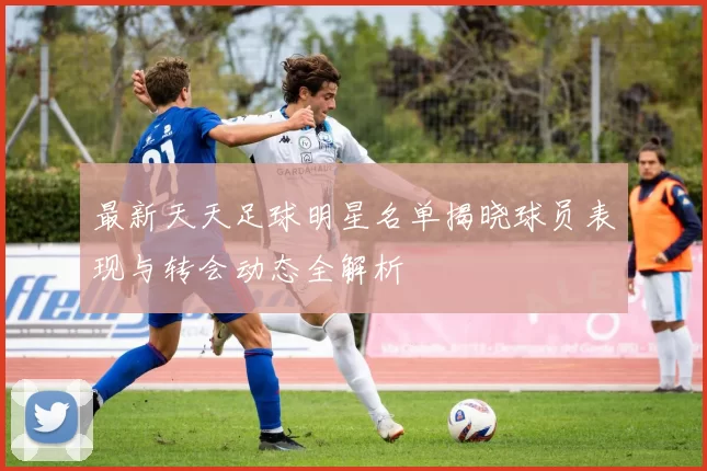 最新天天足球明星名单揭晓球员表现与转会动态全解析