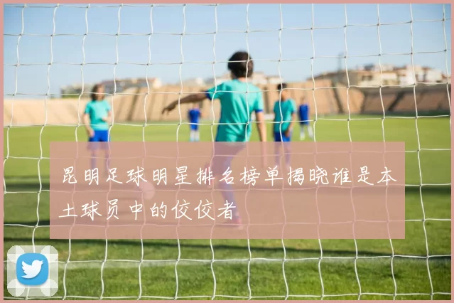 昆明足球明星排名榜单揭晓谁是本土球员中的佼佼者