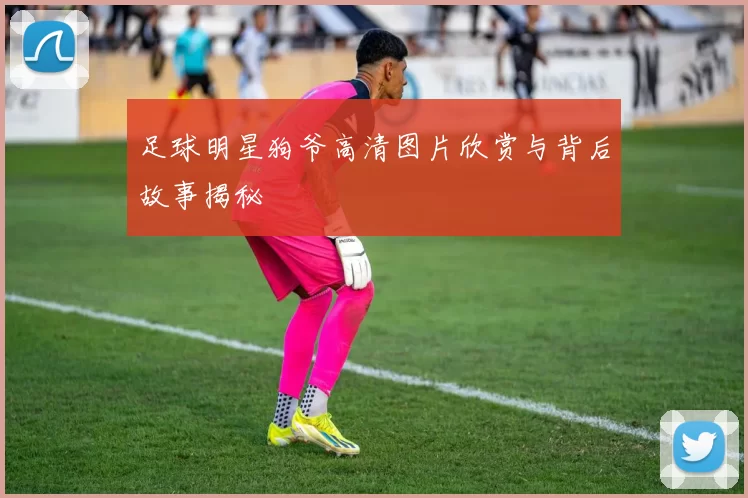 足球明星狗爷高清图片欣赏与背后故事揭秘