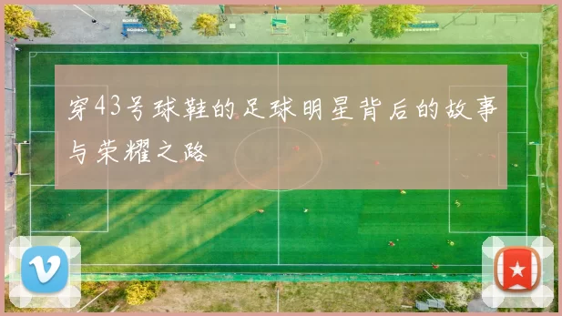 穿43号球鞋的足球明星背后的故事与荣耀之路